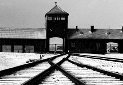 Krakau und  die Gedenkstätte Auschwitz.  Klassenfahrt