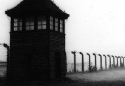 Gedenkstätte Auschwitz. Ausflug von Krakau