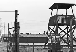 Krakau und Gedenkstätte Auschwitz.  Zubucherreise